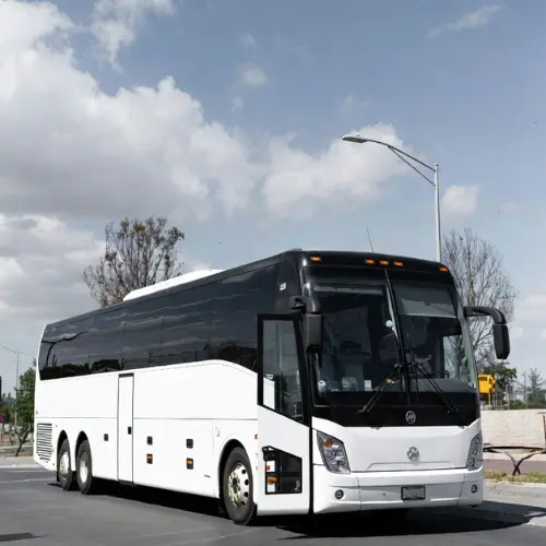 Charter Bus