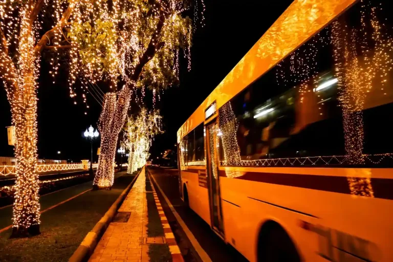 Party Bus Rental Washington DC_