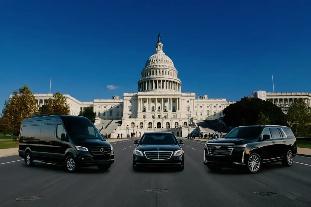 Our Services — Everything You Need for a Perfect Ride